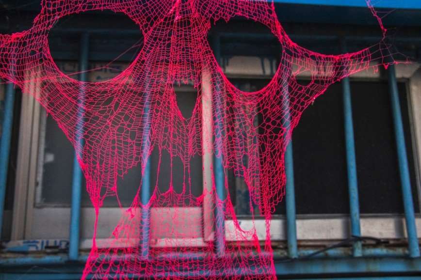 Искусство плетения паутины